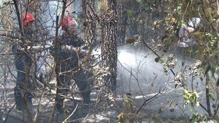 Cháy dữ dội khu rừng thông Trung tâm văn hoá Huyền Trân