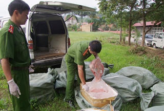 Gần một tấn nầm lợn thối trong ngôi nhà hoang