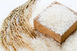 Vì hạt gạo Việt