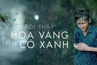 Trình chiếu 'Tôi thấy hoa vàng trên cỏ xanh' tại trụ sở Liên hợp quốc