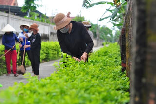 ‘Một giờ sạch đẹp’ ở khu dân cư