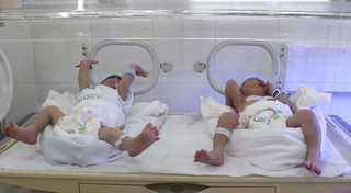 Rà soát quy trình nhận con nuôi, chống mua bán trẻ sơ sinh