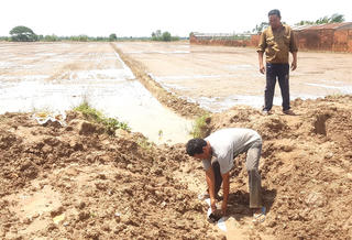 Khai thác đất mặt ruộng vẫn tiếp diễn ở Sóc Trăng