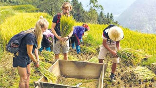 Thay đổi tư duy tiếp cận văn hoá, du lịch