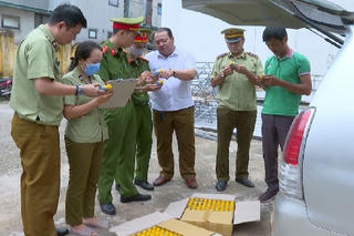 Thanh Hóa: Phát hiện hơn 5.000 lọ thuốc bảo vệ thực vật không rõ nguồn gốc 