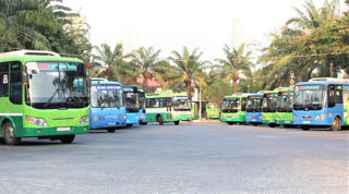 TP Hồ Chí Minh: Nhịp sống đang bình thường trở lại