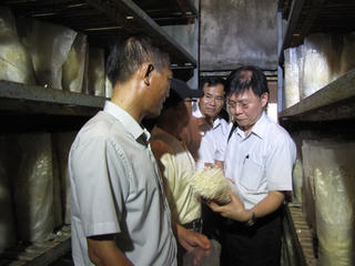 7 doanh nghiệp thực hiện nghiên cứu công nghệ sản xuất nấm quy mô công nghiệp