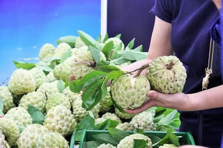 Bình Gia (Lạng Sơn): Đẩy mạnh thực hiện chương trình OCOP