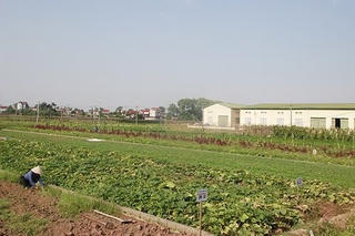 Chú trọng xây dựng mô hình điểm