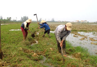 Quảng Bình: Người dân vui vì đã có mưa trên diện rộng