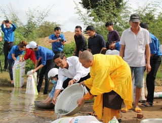 Đắk Lắk thả cá giống tái tạo nguồn lợi thủy sản