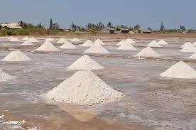 Hơn nửa triệu tấn muối tồn kho
