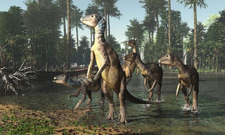 Hóa thạch khủng long tìm thấy trong đá quý ở Australia