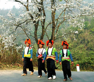 Lễ hội hoa ban tại Hà Nội
