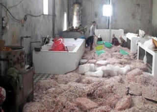 Tiêu hủy lượng lớn chân gà đông lạnh không rõ nguồn gốc