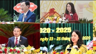 12 Bí thư Tỉnh ủy, Thành ủy đầu tiên trúng cử tại Đại hội