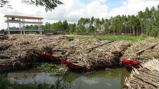 Nước sông đen đặc, bốc mùi vì nước thải của nhà máy mía đường Trà Vinh
