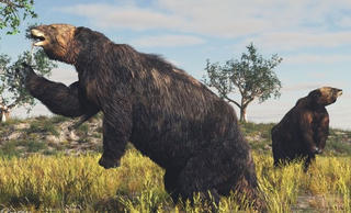 [ẢNH] 10 loài động vật tuyệt chủng mà các nhà khoa học muốn mang lại sự sống