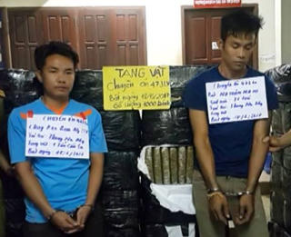 Phá chuyên án ma túy ‘khủng’ thu giữ hơn 1 tấn cần sa khô