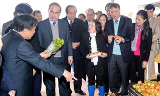 Làn gió mới từ Chỉ thị 19