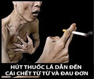 WHO: Mỗi năm thuốc lá giết chết hơn 40.000 người Việt Nam