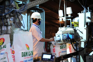 Áp lực phân bón ngoại