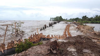 Kiên Giang: 700 mét đê bị sạt lở nghiêm trọng