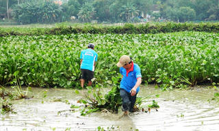 Miền Trung oằn mình vì lũ chồng lũ