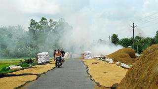 Xử lý nghiêm hành vi phơi nông sản ở lòng đường