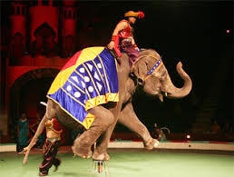 Thành lập Nhà hát Nghệ thuật Xiếc và Tạp kỹ Hà Nội.