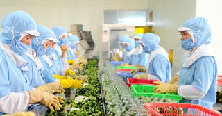 Lạm phát 9 tháng thấp nhất trong vòng 10 năm: Tạo đà kích cầu