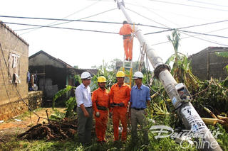 Quảng Bình: Khẩn trương khắc phục điện lưới sau bão số 10