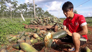 Khi doanh nghiệp lừa nông dân