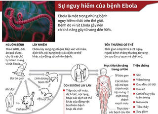 [Infographics] Ebola - một trong những bệnh nguy hiểm nhất thế giới