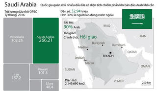 [Infographics] Những điều có thể bạn chưa biết về Saudi Arabia