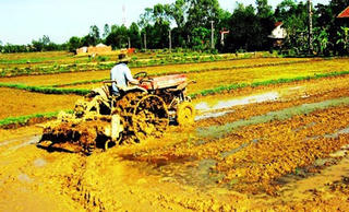 Quảng Nam: Phú Ninh đáp đích nông thôn mới