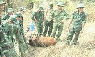 Hủy nổ thành công nhiều quả bom lớn ở Đắk Nông, Quảng Trị