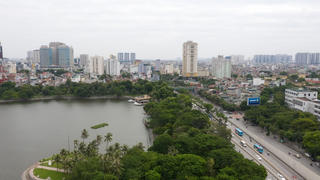 1 tỉ cây xanh và những kỳ vọng về môi trường