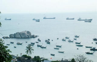 ‘Đi bộ dưới đáy biển’ Cù Lao Chàm