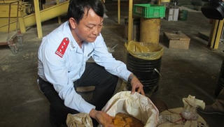 Nhiều công ty sử dụng chất cấm trong sản xuất thức ăn chăn nuôi