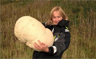 Nấm khổng lồ nặng 10 kg