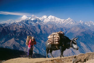 Gửi về từ Nepal