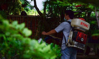 Các tỉnh trọng điểm làm tốt công tác phòng chống dịch Zika