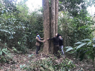 Dân bảo vệ rừng như báu vật