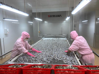 Cà Mau: F0 đi làm trên tinh thần tự nguyện, không tiếp xúc với người khác