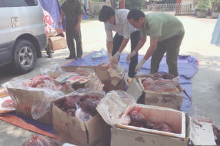 Quảng Bình: Bắt giữ hơn 2,5 tạ nội tạng động vật không rõ nguồn gốc