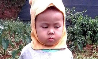 Lâm Đồng: Một bé trai 3 tuổi mất tích bí ẩn khi đi làm vườn cùng ba