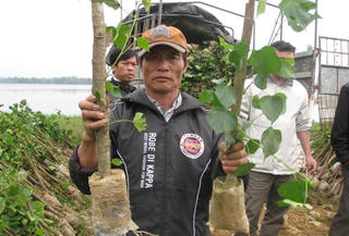 Hồi sinh Tam Giang