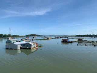 Nguồn nước ô nhiễm và những lồng cá bè