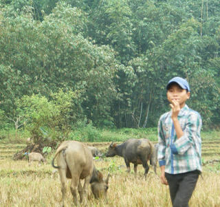 Đánh thức miền hoang vu